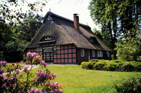 Altes, reetgedecktes Bauernhaus auf der Dohnhorst