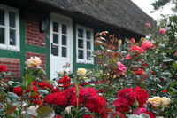 Bauernhaus