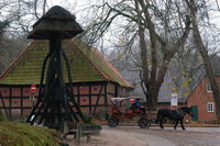 Pferdekutschenfahrt in der Bauernreihe