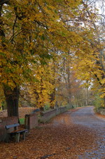 Bauernreihe im Herbst