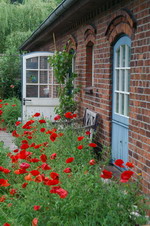 Blumen bei einer Galerie an der M�hle