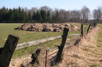 Wiese in der Hammeniederung