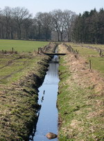 Hammeniederung