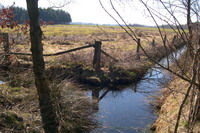 Wiese in der Hammeniederung