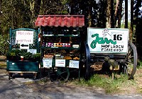 Hofladen Jan 16 in Neu St.-J�rgen / Worpswede