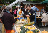 Besucher des Worpsweder Wochenmarktes