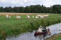 Kanufahren in der Hammeniederung ist besonders idyllisch