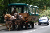 Kutschfahrt durch Worpswede