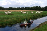 Kanufahrer in der Natur der Hammeniederung
