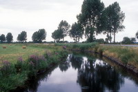 Natur bei Osterholz-Scharmbeck