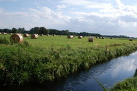 Natur pur: Die Hammeniederung