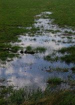 Moorlandschaft in der Hammeniederung