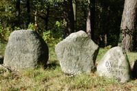 Einige von den 173 Findlingen um den Niedersachsenstein, die den gefallenen Soldaten des 1. Weltkrieges gedenken