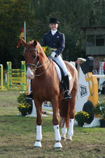 Reiterin mit Pferd