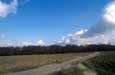 Weyerberg in Worpswede