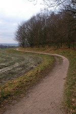 Lisel-Oppel-Weg auf dem Weyerberg
