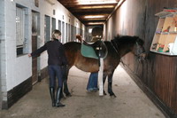 Junges M�dchen im Reitclub Birkenhof / Reitschule Beller