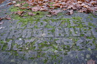 Inschrift des mit Herbstlaub bedeckten Roseliussteins
