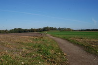 Wanderweg auf dem Weyerberg