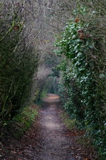 Stoltes Weg