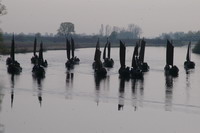 Um 8.30 Uhr passierte die Torfkahnflotte "Melchers H�tte" auf der Hamme