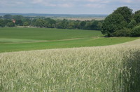 Blick vom Weyerberg