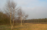 Herbstliche Stimmung auf dem Weyerberg