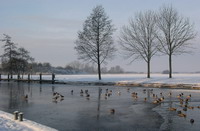 Ein seltener Anblick: Enten auf der zugefrorenen Hamme