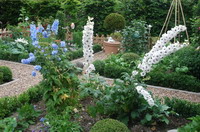 Rittersporn im Worpsweder Bauerngarten