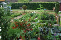 Worpsweder Bauerngarten