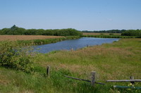 Naturschutzgebiet Breites Wasser in der Worpsweder Hammeniederung