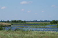 Naturschutzgebiet Breites Wasser in der Worpsweder Hammeniederung