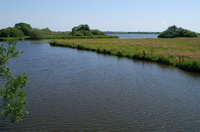 Naturschutzgebiet Breites Wasser in der Worpsweder Hammeniederung