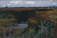 Gem�lde von Hans am Ende: Moorlandschaft, 1900