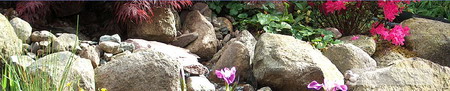Galenus (Gartenteiche), An der Bahn 36, 27726 Worpswede, Tel.: 04792/9539869, Fax.: 04792/9519038, Mail: info@sakane.de, Homepage: www.sakane.de