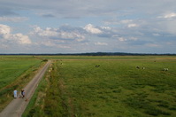 Ausblick vom Beobachtungsturm Postwiesen