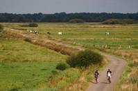 Fahrradfahrer in der Hammeniederung / Postwiesen