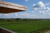 Blick vom Aussichts- und Beobachtungsturm Postwiesen in die Hammeniederung