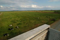 Weitblick vom Beobachtungsturm Postwiesen