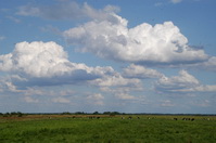 Wolkenspiel in der Hammeniederung