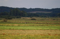 Der Blick reicht bei guter Sicht bis zum Weyerberg in Worpswede