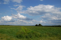Wolkenspiel in der Hammeniederung