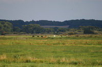 Fernblick zum Weyerberg von den Postwiesen
