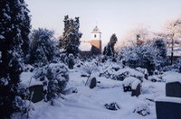 Friedhof mit Blick auf Zionskirche im Januar