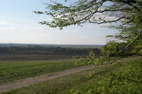 Lisel-Oppel-Weg auf dem Weyerberg im April