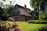Altes, reetgedecktes Bauernhaus auf der Dohnhorst