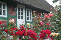Bauernhaus