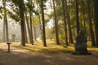 Buddha (Bonze des Humors) im September