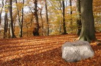 Wegweiser zum Findorff-Denkmal auf dem Findorff-Berg