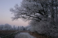 Fritz-Mackensen-Weg im Winter